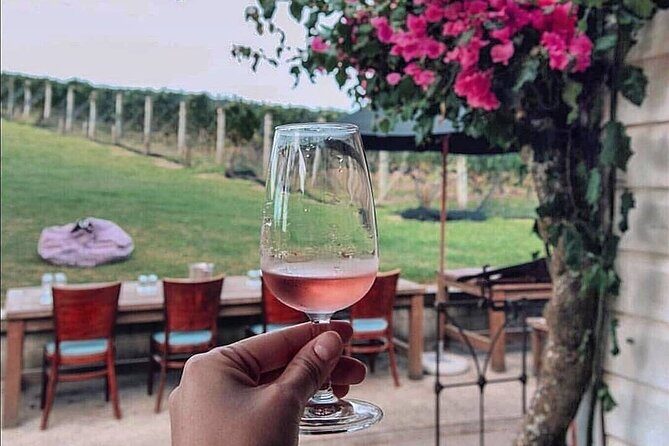 4.5-Hour Scenic Wine Tour with Private Guide & Up to 12 Tastings - Why This Tour Is Worth Considering