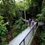4 Day Cairns: Daintree Rainforest, Reef, Kuranda & Paronella Park - What This Tour Means for You