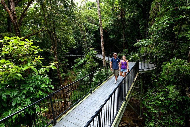 4 Day Cairns: Daintree Rainforest, Reef, Kuranda & Paronella Park - What This Tour Means for You