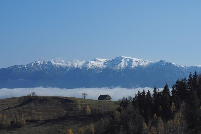 4-Day Carpathian Trek: Bucegi Mountains and Piatra Craiului National Park - Exploring the Carpathians: What to Expect