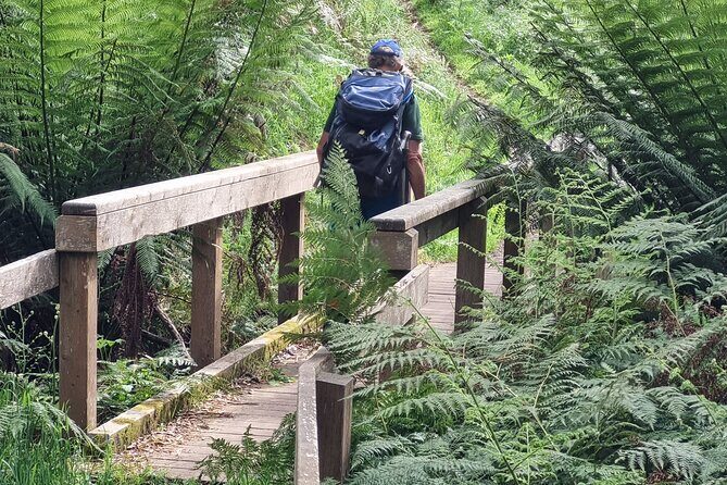4 Day Mornington Peninsula Treks - The Practical Side: What to Expect