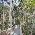 4-Day Private Coastal Escape from Sydney to Mid North Coast - Why This Tour Works