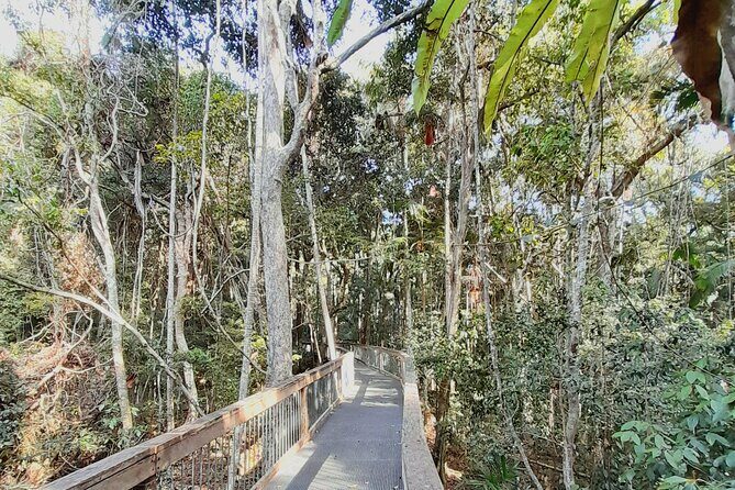 4-Day Private Coastal Escape from Sydney to Mid North Coast - Why This Tour Works