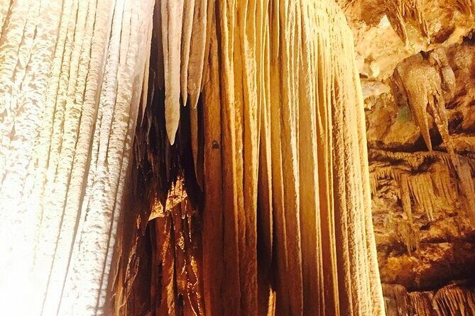 4-Day Tennessee Smoky Mountain Tour from NYC - Transportation & Comfort