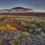 4-Days Tour of Iceland With Northern Light From Reykjavik City - Who Will Love This Tour?