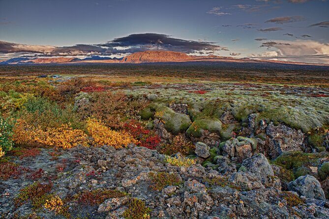 4-Days Tour of Iceland With Northern Light From Reykjavik City - Who Will Love This Tour?