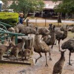4 Days Tour to Pink Lake Kalbarri, Margaret River and South West - What Sets This Tour Apart?