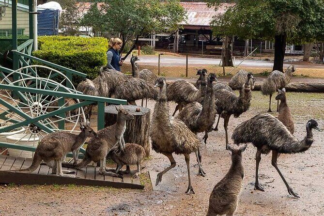 4 Days Tour to Pink Lake Kalbarri, Margaret River and South West - What Sets This Tour Apart?