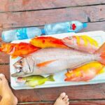 4 Hour Ariki Fishing Activity in Moorea - Final Thoughts