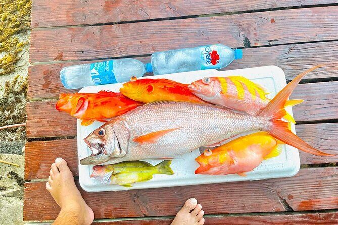 4 Hour Ariki Fishing Activity in Moorea - Final Thoughts