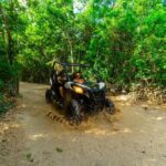 4-Hour Cancun Jungle Buggy Tour with Zipline Circuit & Cenote - Final Words