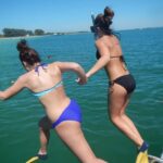 4 Hour Egmont Key Island Tour With Dolphins & Snorkeling - Who Is This Tour Best For?