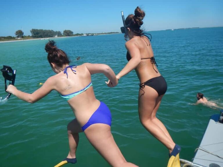 4 Hour Egmont Key Island Tour With Dolphins & Snorkeling - Who Is This Tour Best For?