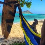 4 Hour Half Day Island Jeep Tour - Who Should Consider This Tour?