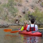 4-Hour Kayak Deluxe Tour in Emerald Cave with Catered Lunch - The Itinerary: What to Expect Step-by-Step