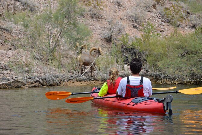 4-Hour Kayak Deluxe Tour in Emerald Cave with Catered Lunch - The Itinerary: What to Expect Step-by-Step