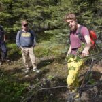 4 Hour Off-Trail Wilderness Wonders Tour in Denali - Why This Tour Offers Great Value