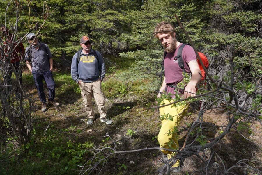4 Hour Off-Trail Wilderness Wonders Tour in Denali - Why This Tour Offers Great Value