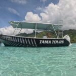 4 Hour Private Humpback Whales Encounter in Moorea - FAQ