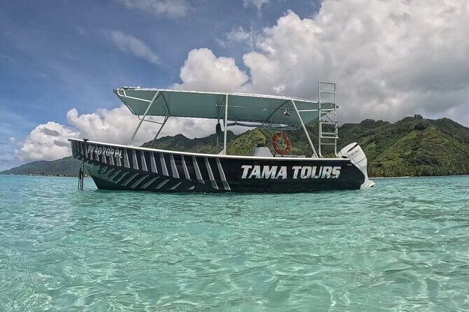 4 Hour Private Humpback Whales Encounter in Moorea - FAQ