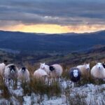 4 hour Private Lake District tour (tour B) - Who Should Consider This Tour?