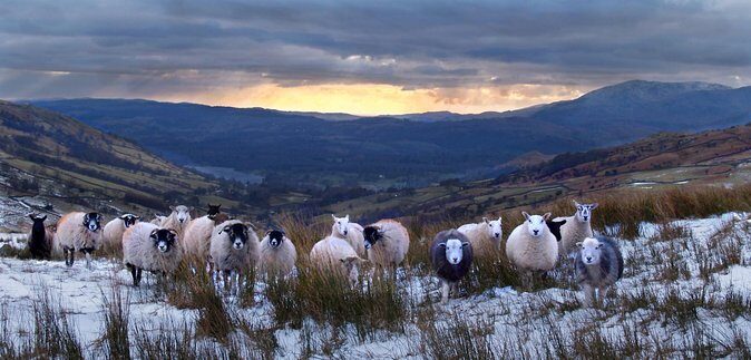 4 hour Private Lake District tour (tour B) - Who Should Consider This Tour?