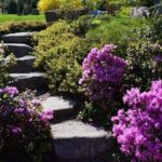 4 Hour Private Tour: Explore Acadia Nat'l Park, Fjord & Mansions - The Sum Up