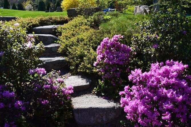 4 Hour Private Tour: Explore Acadia Nat'l Park, Fjord & Mansions - The Sum Up