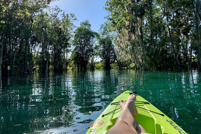 4 Hour Single Kayak Rental In Crystal River, Florida - The Sum Up