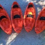 4 Hour Tandem Kayak Rental For Two People In Crystal River, Florida - Authentic Experiences from Travelers