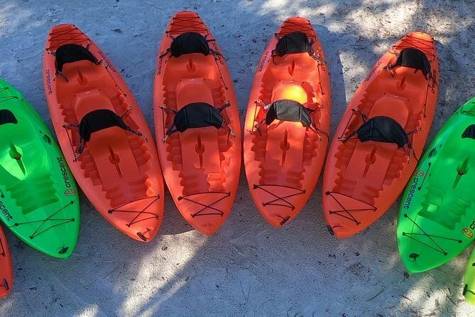 4 Hour Tandem Kayak Rental For Two People In Crystal River, Florida - Authentic Experiences from Travelers