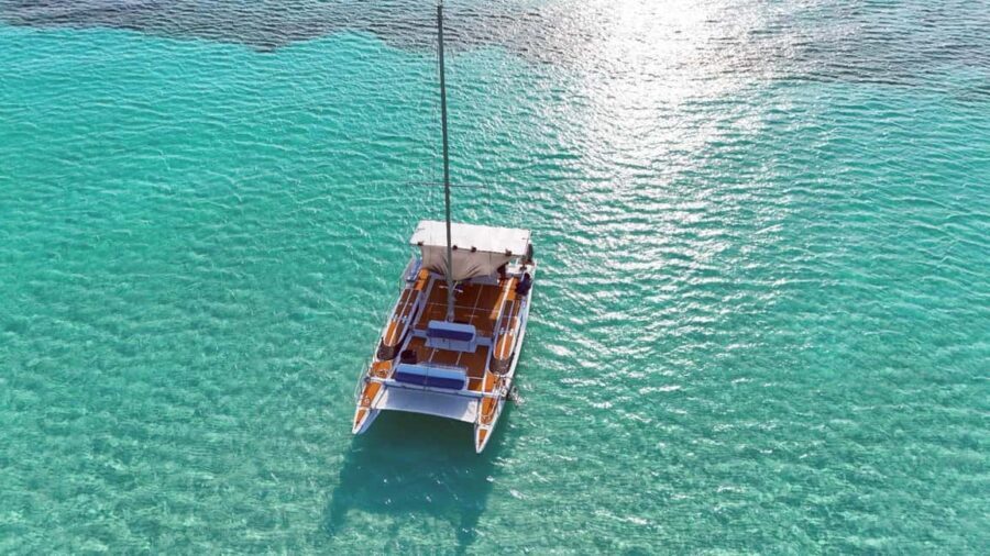 4 Hour Turtle Sanctuary Experience on a Luxury Catamarán - Who Will Love This Tour?