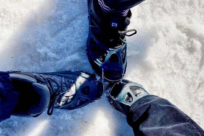 4 hours Best View of the Oslofjord Winter Edition - Practical Tips for Your Winter Hike