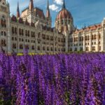 4 hours long private minivan tour in Budapest - Who Should Book This Tour?