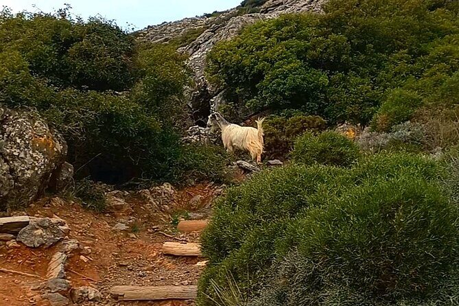 4 Hours Private Hiking on the Strouboulas Mountain, Heraklion - FAQ