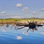 4-in-1 Tour - Mazunte,Cacao Factory, La Ventanilla & Turtle Spawn - A Closer Look at the Itinerary