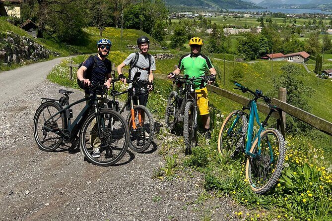 4 Lakes E-Bike Guided Tour and Lake Cruise - Wichelsee: A Small but Special Lake