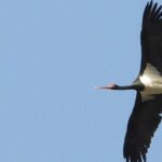 4 x 4 MONFRAGÜE NATIONAL PARK. Minimum 4 people. - Why This Tour Offers Great Value