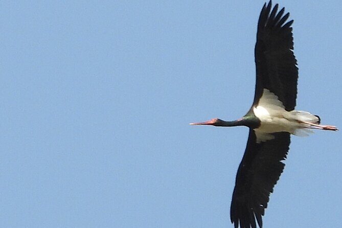 4 x 4 MONFRAGÜE NATIONAL PARK. Minimum 4 people. - Why This Tour Offers Great Value