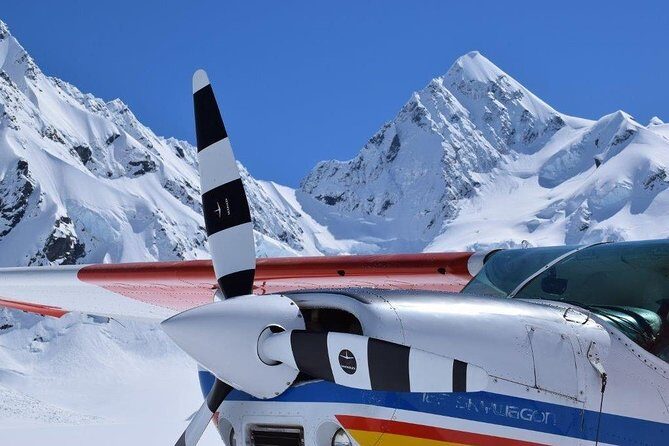 45-Minute Glacier Highlights Ski Plane Tour from Mount Cook