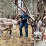 45 Minute Private Reindeer Tour - Who Will Love This Tour?