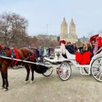 45 Minute VIP Central Park Carriage Ride - The Sum Up