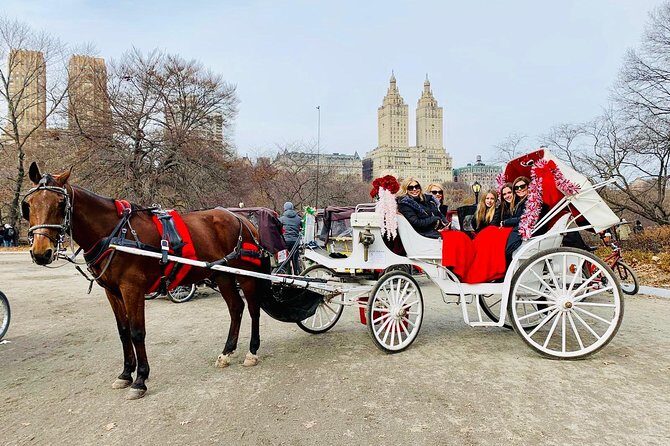 45 Minute VIP Central Park Carriage Ride - The Sum Up