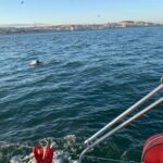 4H Private Sailing Tour with Water Activity (Drinks and BBQ as option) - Authentic Experiences: What Past Travelers Say