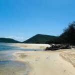 4WD Beach and Walking Tour Double Island Point (Full Day) - Transportation, Duration, and Practical Tips