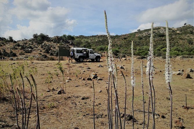 4x4 excursion between mountain and sea - Explore Sardinia’s Unique Landscapes and Heritage