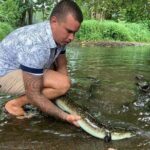 4x4 Moorea Safari Tours : Private tours - What’s the Experience Like?
