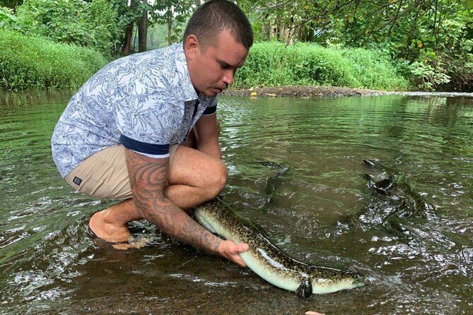 4x4 Moorea Safari Tours : Private tours - What’s the Experience Like?
