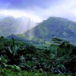 4x4 Tour - Craft and Agritourism Culture in Raiatea - Who Is This Tour Best For?
