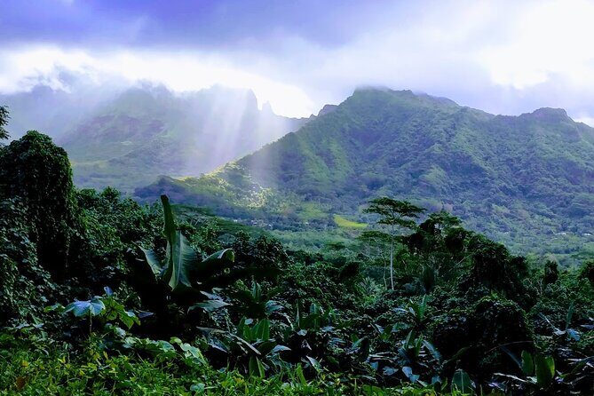 4x4 Tour - Craft and Agritourism Culture in Raiatea - Who Is This Tour Best For?